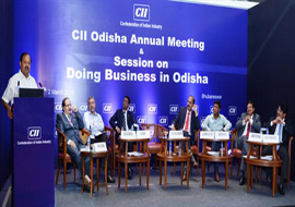 'Doing Business in Odisha' seminar by CII